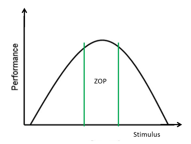 Graph with a curve showing performance peaking half way along the stimulus axis